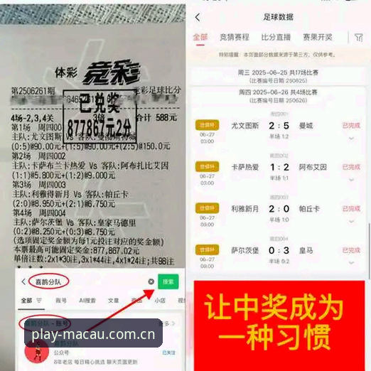 澳门威斯人注册用户体验深度评测：正版游戏平台的价值与风险分析